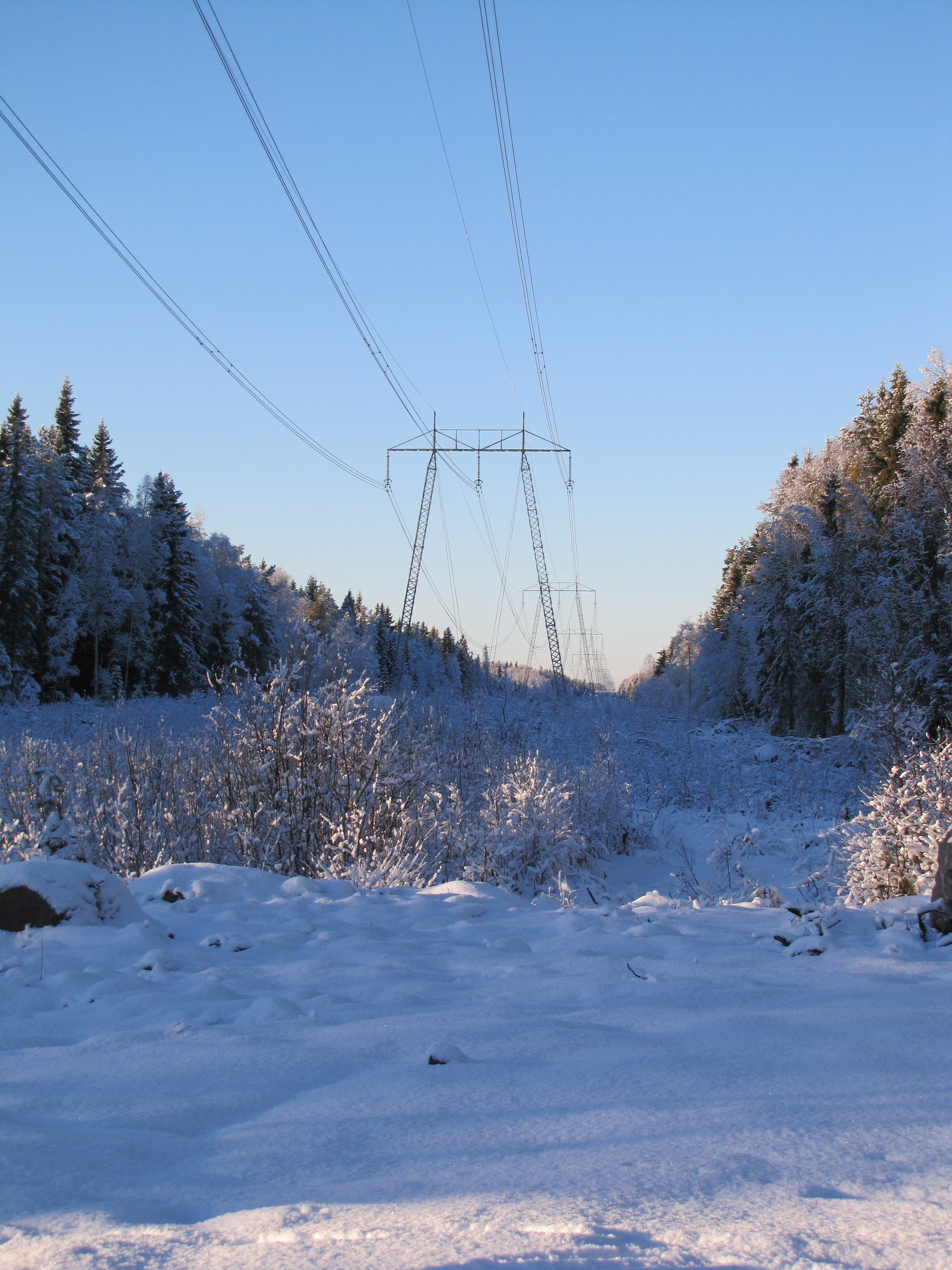 400Kv Vinter Fotograf Thomas Wiklund